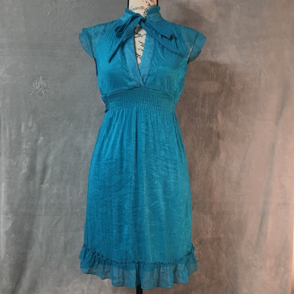 The Hanger Blue Ruffled Fit and Flare Dress Med